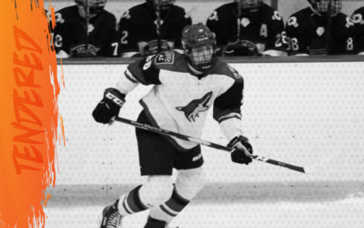 Tendered: Jack Franklin