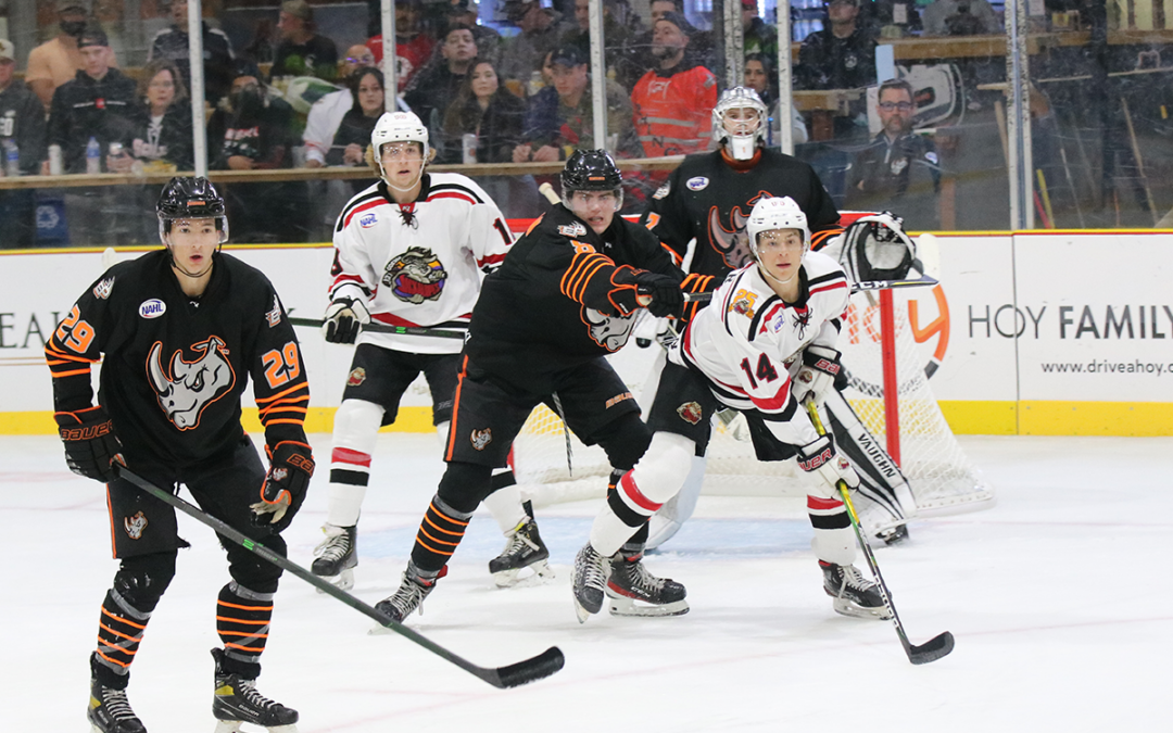 Jacks Sweep Rhinos