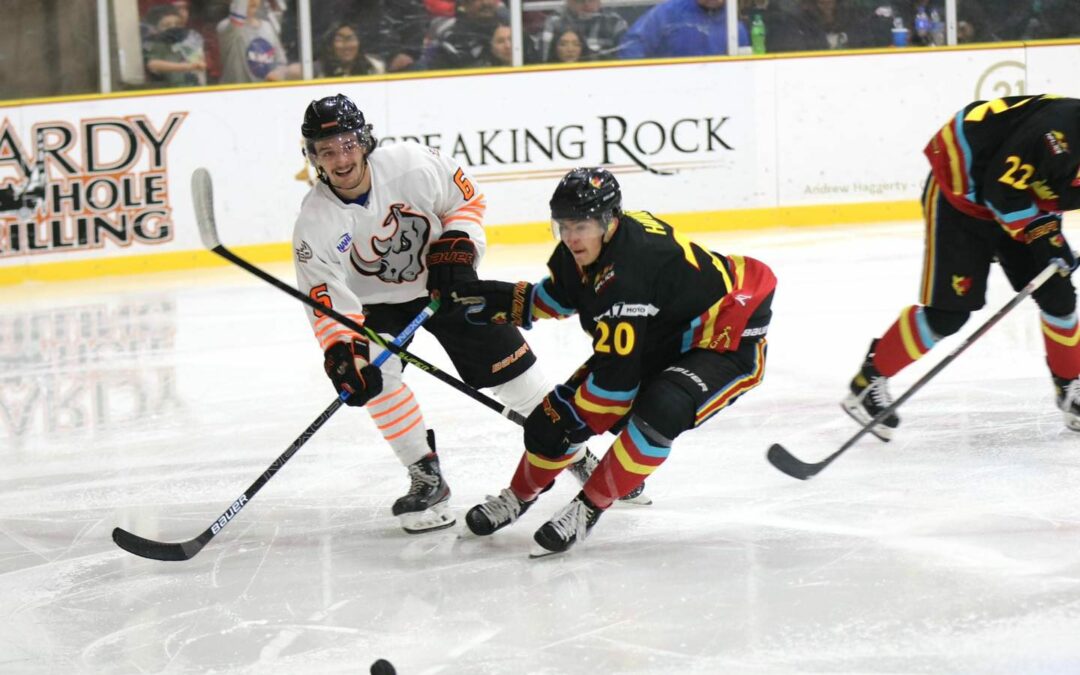 Rhinos downed by Ice Wolves