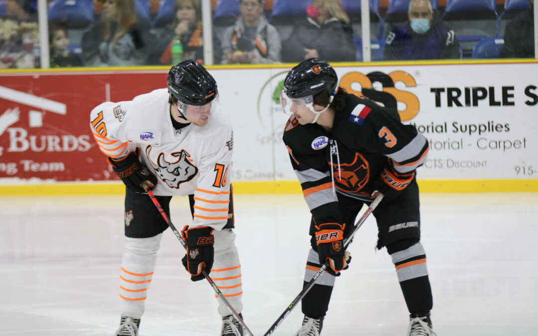 Rhinos Split Series with Warriors