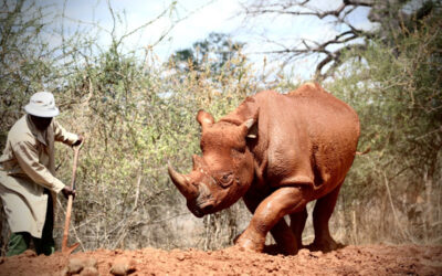 Apollo’s June 2022 Update