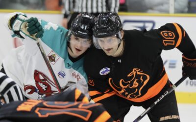 Mudbugs Sweep Rhinos