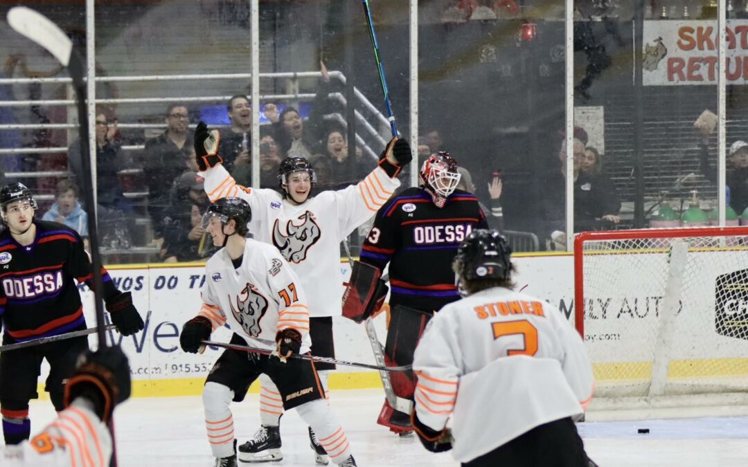 Rhinos split series with Jackalopes