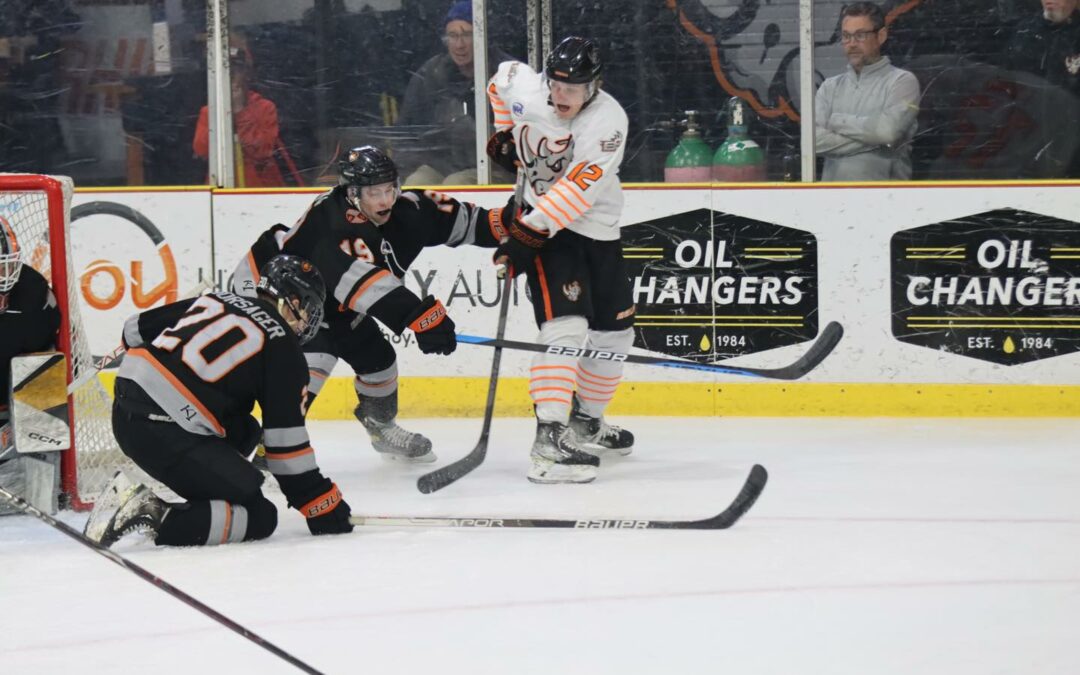 Rhinos swept by Warriors 4-1 in Game 2
