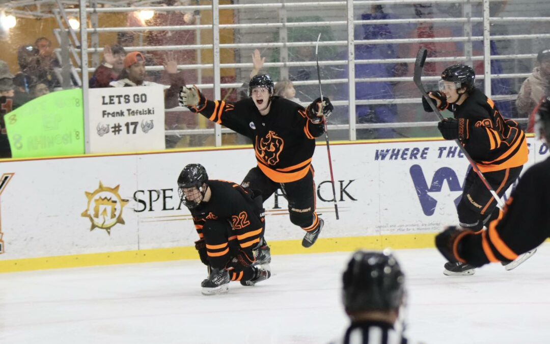 Rhinos split series with Ice Wolves