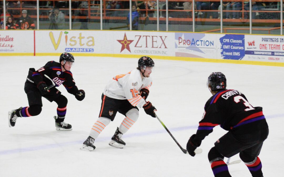 Rhinos & Jackalopes split series