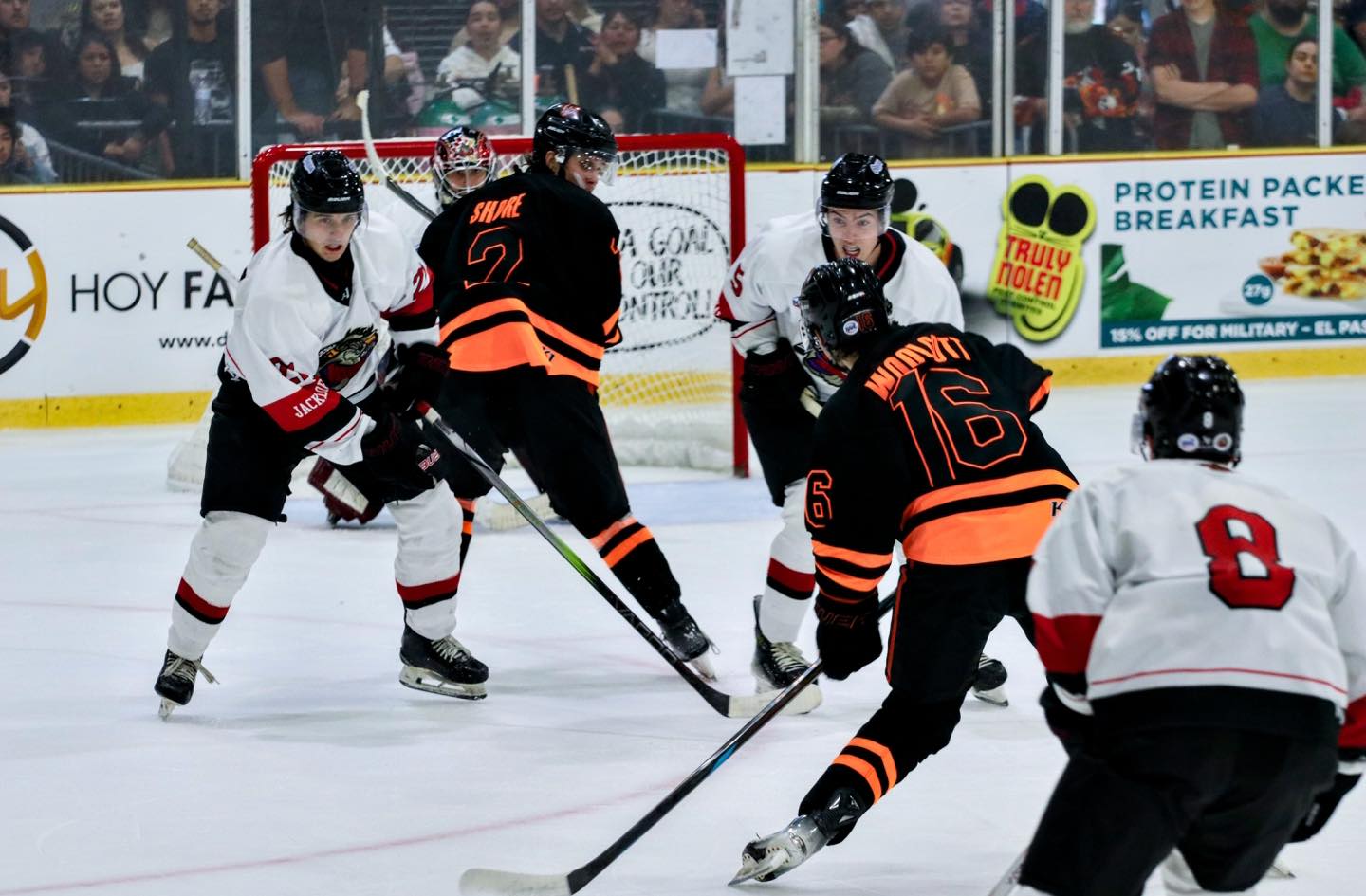 549791594_1219989363497616_5682469324006067032_n