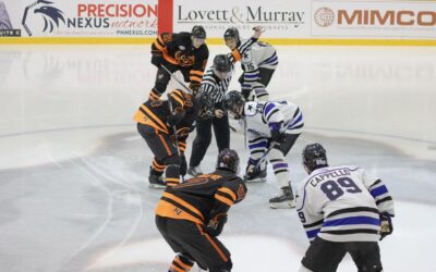 Rhinos & Brahmas split series 4-3 in Game 2