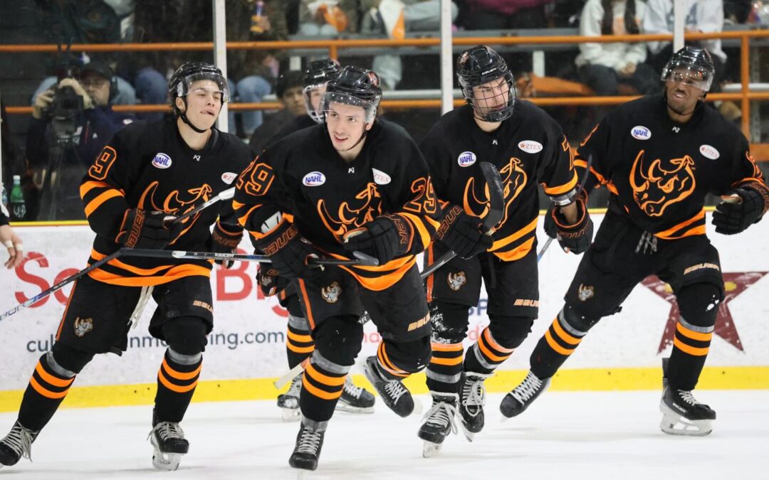 Rhinos advance to Division Semi-Finals 4-1 in Game 3