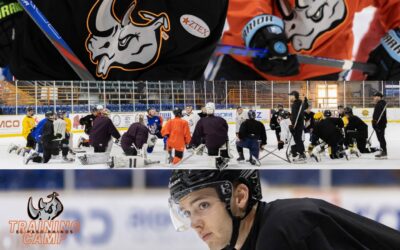 Gallery: Rhinos Training Camp 2026